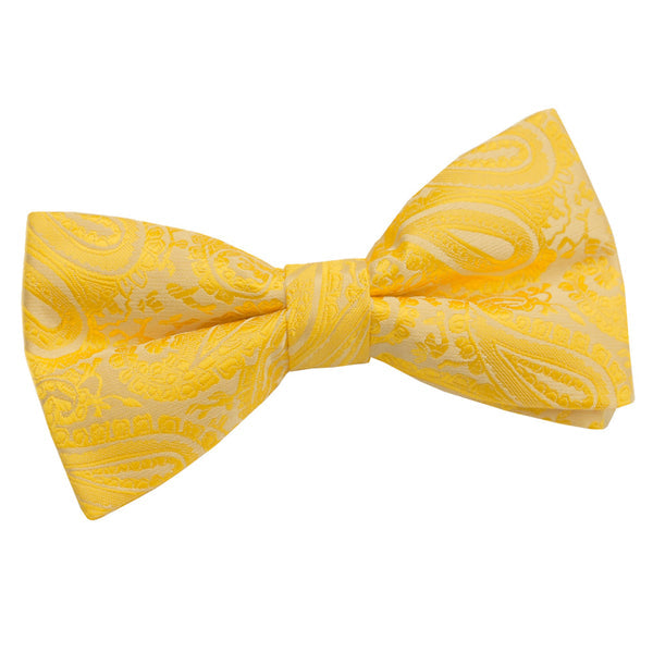 Paisley Pre-Tied Bow Tie - Turquoise